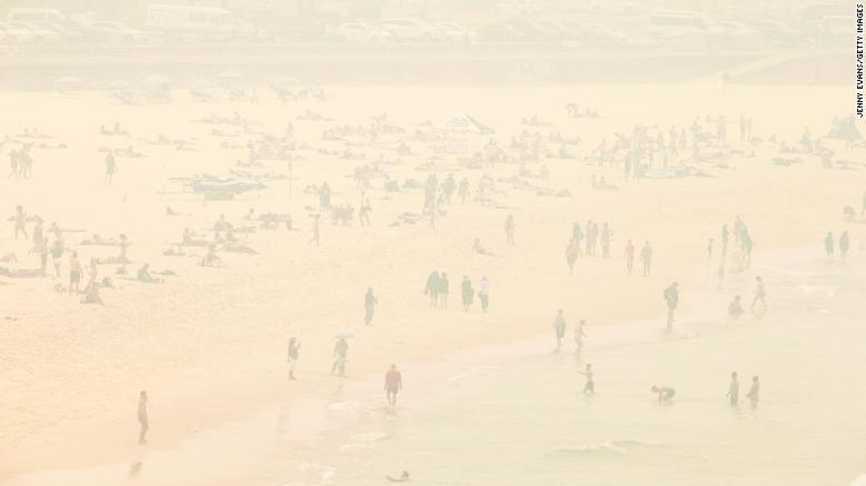 Beach shore in Australia