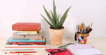 Aloe vera plant on desk.