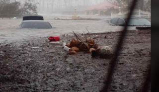 Where streets stood were replaced with a sea in-land on the island of Freeport, Grand Bahama. The only hospital on the island experienced severe flooding and had to be evacuated after the storm had passed.