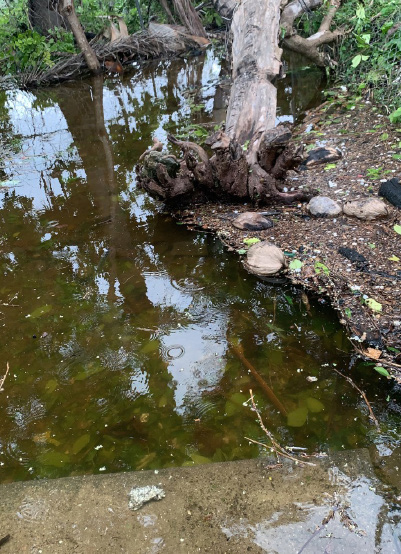 Despite being indirectly impacted by the storm, New Providence- the capital of the Bahamas experienced substantial flooding inland and on the coastal areas of the island.