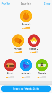 Duolingo is often used as a tool for teachers in the public and private school systems as a supplement for their classes.