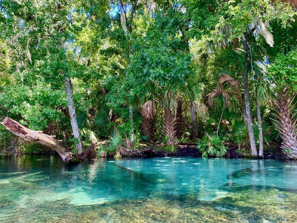 At any point along your trek down Rainbow River, there are a number of trees, banks, and ledges that could be used as jumping points or rest areas to stop and swim.