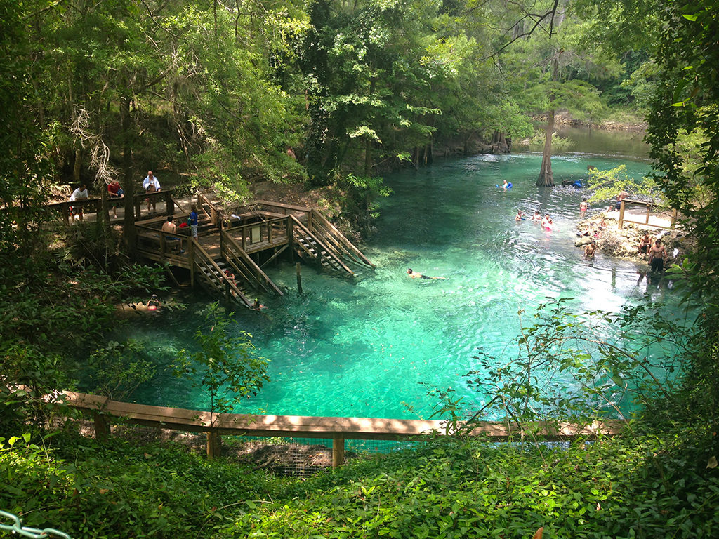 The scenic watering hole at Madison Blue Springs, voted #1 in the country, attracts swimmers and hikers alike, with hiking paths and boardwalks leading to the main spring.