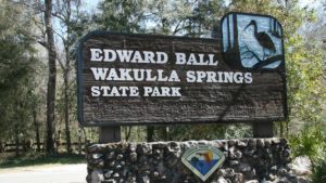 A unique experience offered at Edward Ball Wakulla Springs is geo-seeking, wherein visitors are given clues to the whereabouts of hidden caches or trinkets that have been placed by experienced Geo-cachers, and then must navigate to them using traditional forms of wayfinding and sleuthing.