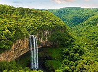 The continued growth of the Amazon Rainforest is one benefit of the annual Saharan sand clouds. (Global Environment Facility).