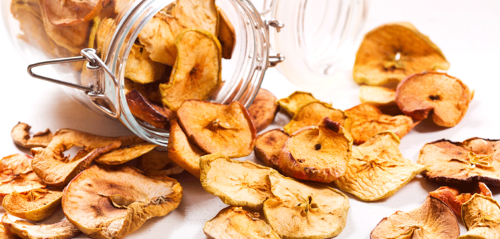 cinnamon apple chips snack