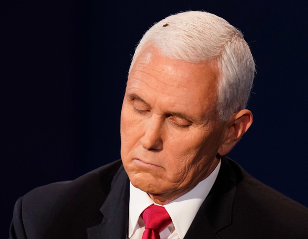 During the debate, a fly landed on Vice President Mike Pence’s head. This sparked the creation of memes mocking the Vice President on social media. Source: Patrick Semansky/AP