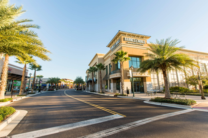 Wiregrass shops street view