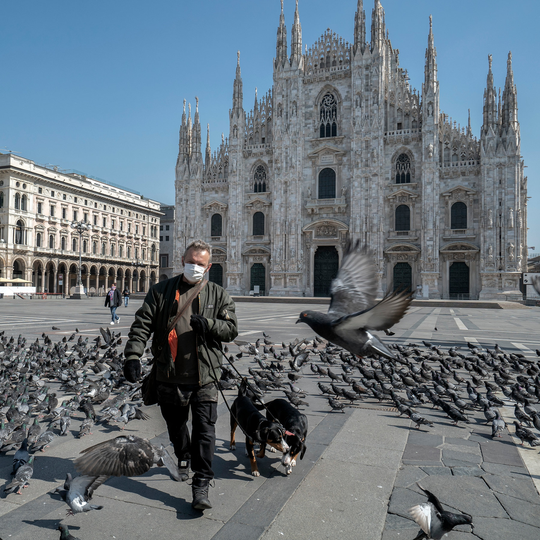 Italy structure with man surrounded by birds