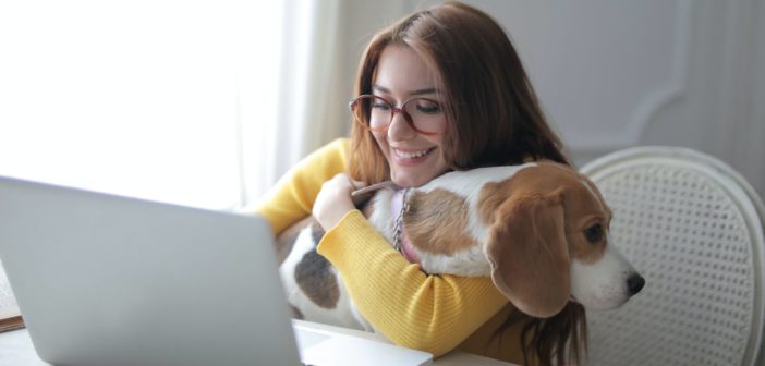 A woman on their desk with a computer and their dog