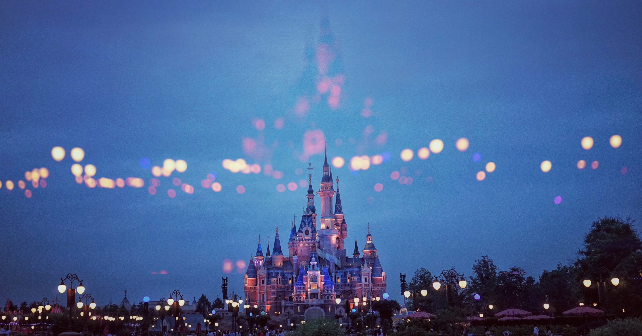 Walt Disney World Caslte