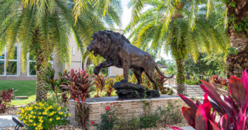 A photo of the lion statue at Saint Leo's university campus