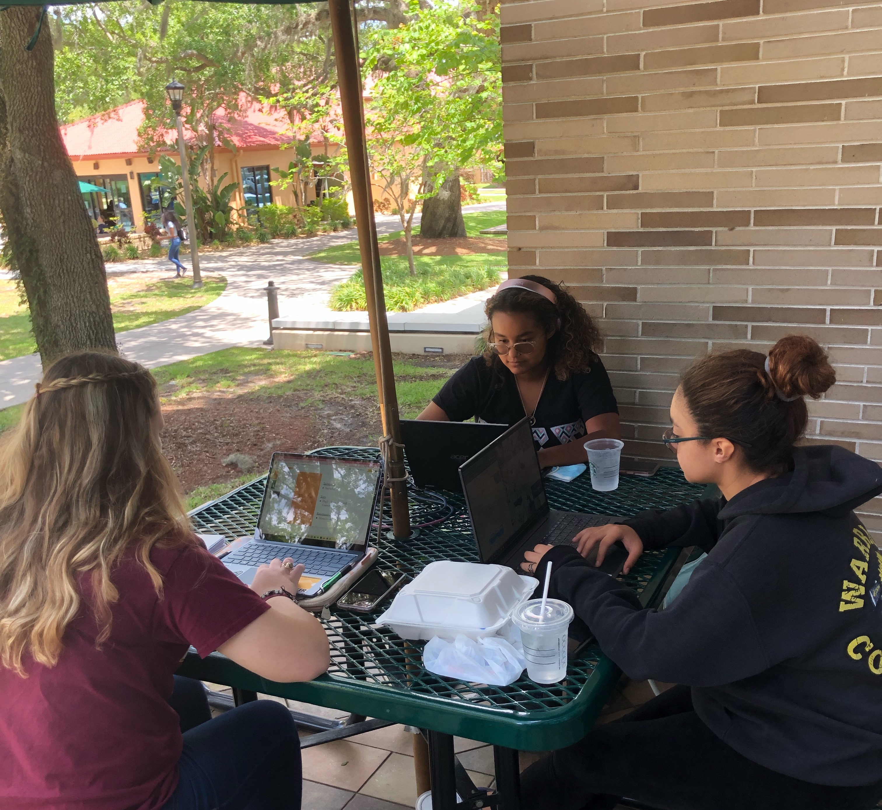 Students studying outside